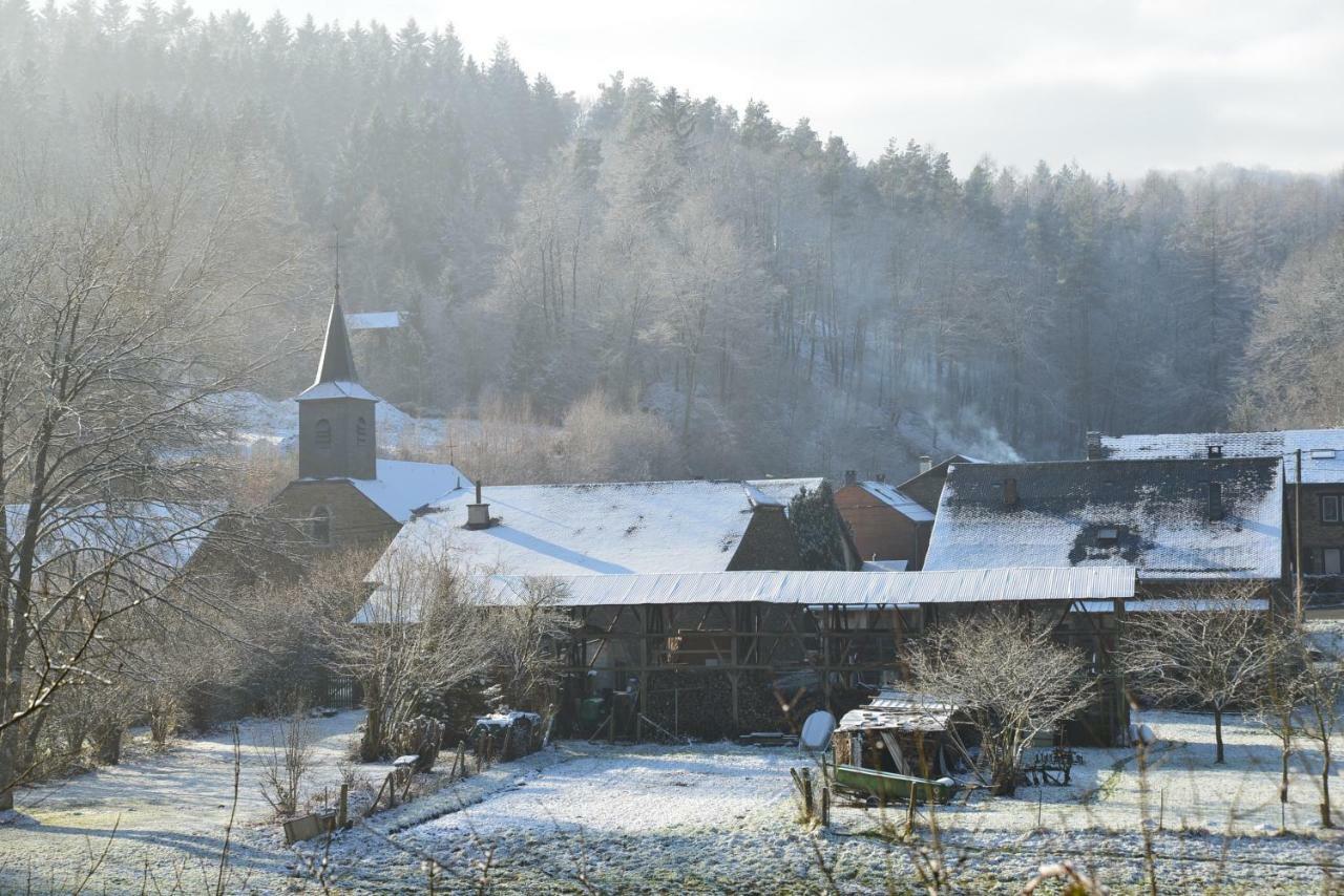 Gite La Truite A Mouzaive Vresse-sur-Semois Exteriör bild